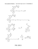 Capture compounds, collections thereof and methods for analyzing the proteome and complex compositions diagram and image