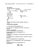 Capture compounds, collections thereof and methods for analyzing the proteome and complex compositions diagram and image