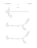 Capture compounds, collections thereof and methods for analyzing the proteome and complex compositions diagram and image