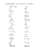 Capture compounds, collections thereof and methods for analyzing the proteome and complex compositions diagram and image