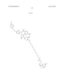 Capture compounds, collections thereof and methods for analyzing the proteome and complex compositions diagram and image