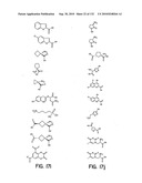 Capture compounds, collections thereof and methods for analyzing the proteome and complex compositions diagram and image