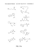 Capture compounds, collections thereof and methods for analyzing the proteome and complex compositions diagram and image