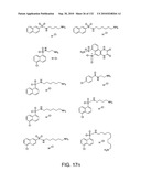 Capture compounds, collections thereof and methods for analyzing the proteome and complex compositions diagram and image