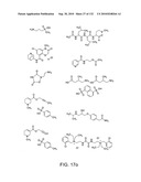 Capture compounds, collections thereof and methods for analyzing the proteome and complex compositions diagram and image