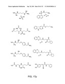 Capture compounds, collections thereof and methods for analyzing the proteome and complex compositions diagram and image