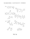 Capture compounds, collections thereof and methods for analyzing the proteome and complex compositions diagram and image