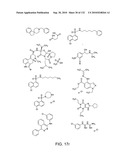 Capture compounds, collections thereof and methods for analyzing the proteome and complex compositions diagram and image