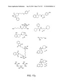 Capture compounds, collections thereof and methods for analyzing the proteome and complex compositions diagram and image