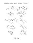 Capture compounds, collections thereof and methods for analyzing the proteome and complex compositions diagram and image