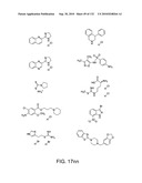 Capture compounds, collections thereof and methods for analyzing the proteome and complex compositions diagram and image