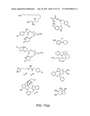 Capture compounds, collections thereof and methods for analyzing the proteome and complex compositions diagram and image