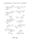 Capture compounds, collections thereof and methods for analyzing the proteome and complex compositions diagram and image