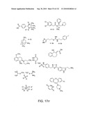 Capture compounds, collections thereof and methods for analyzing the proteome and complex compositions diagram and image