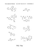 Capture compounds, collections thereof and methods for analyzing the proteome and complex compositions diagram and image