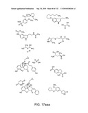 Capture compounds, collections thereof and methods for analyzing the proteome and complex compositions diagram and image