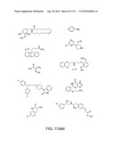 Capture compounds, collections thereof and methods for analyzing the proteome and complex compositions diagram and image