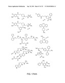 Capture compounds, collections thereof and methods for analyzing the proteome and complex compositions diagram and image