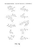 Capture compounds, collections thereof and methods for analyzing the proteome and complex compositions diagram and image