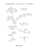 Capture compounds, collections thereof and methods for analyzing the proteome and complex compositions diagram and image