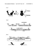 METHOD FOR MEASUREMENT OF CONCENTRATION OF ANTIGEN diagram and image