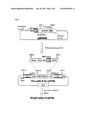 METHOD FOR MEASUREMENT OF CONCENTRATION OF ANTIGEN diagram and image