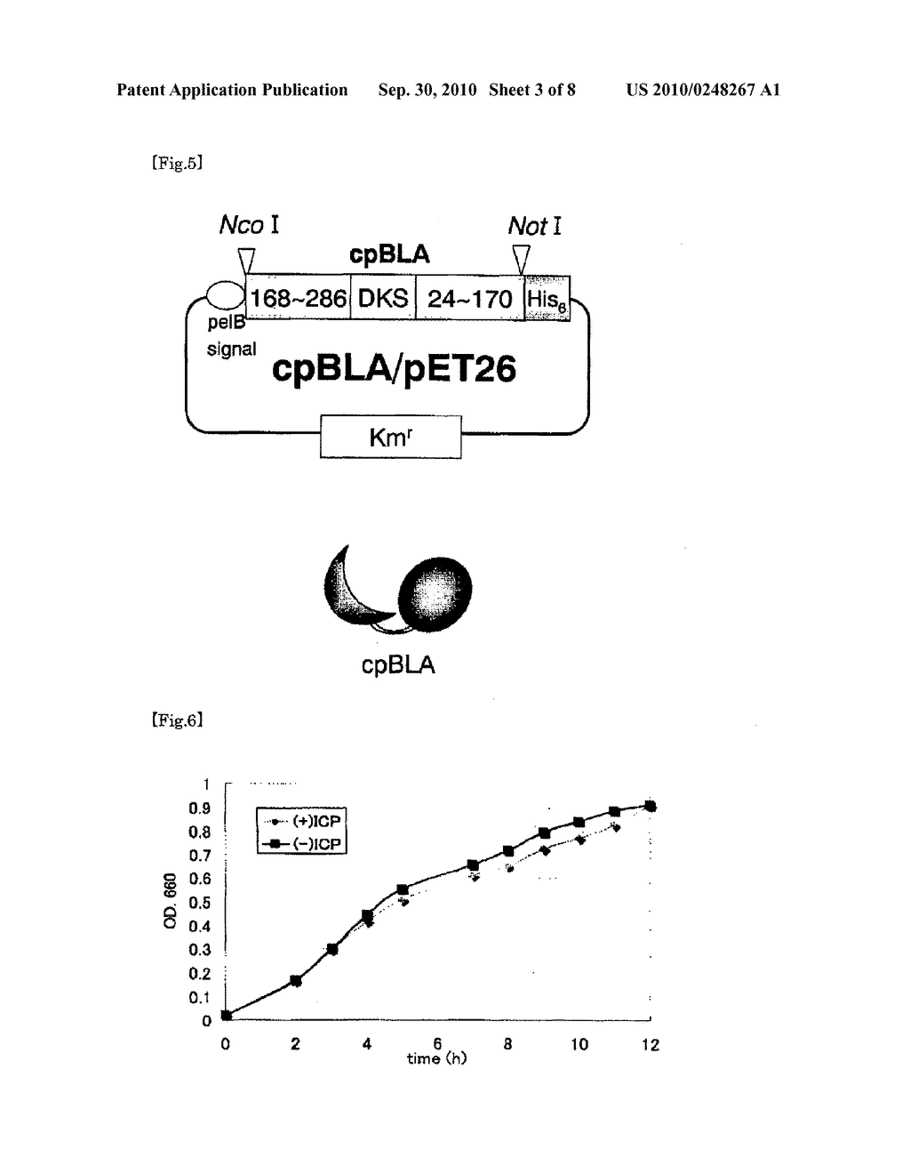 METHOD FOR MEASUREMENT OF CONCENTRATION OF ANTIGEN - diagram, schematic, and image 04