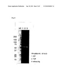 METHOD FOR MEASUREMENT OF CONCENTRATION OF ANTIGEN diagram and image