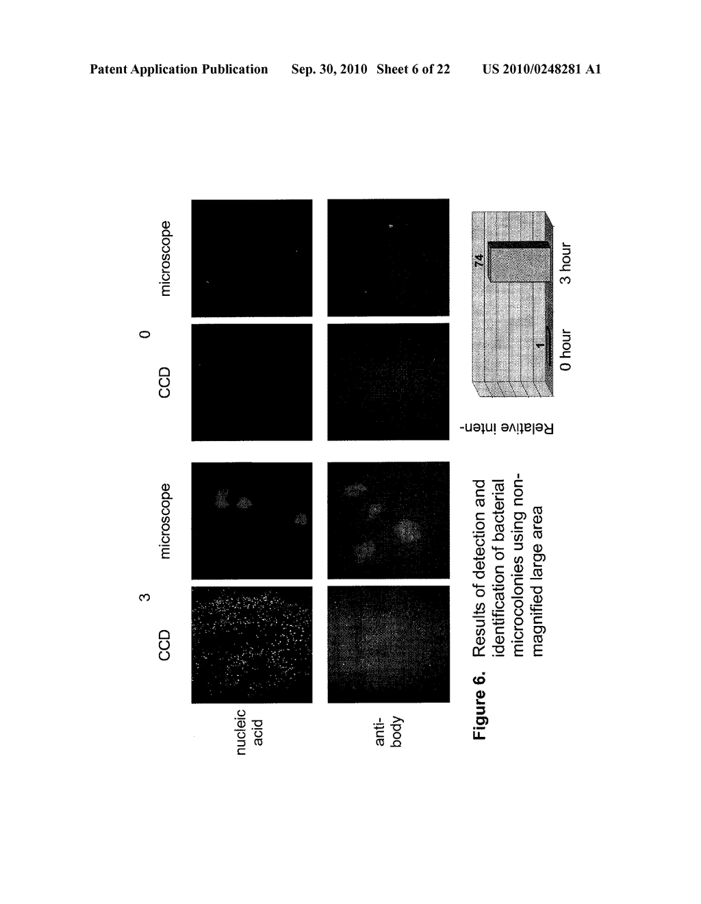 RAPID DETECTION OF REPLICATING CELLS - diagram, schematic, and image 07