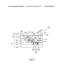 BIOSENSOR diagram and image