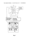 BIOSENSOR diagram and image