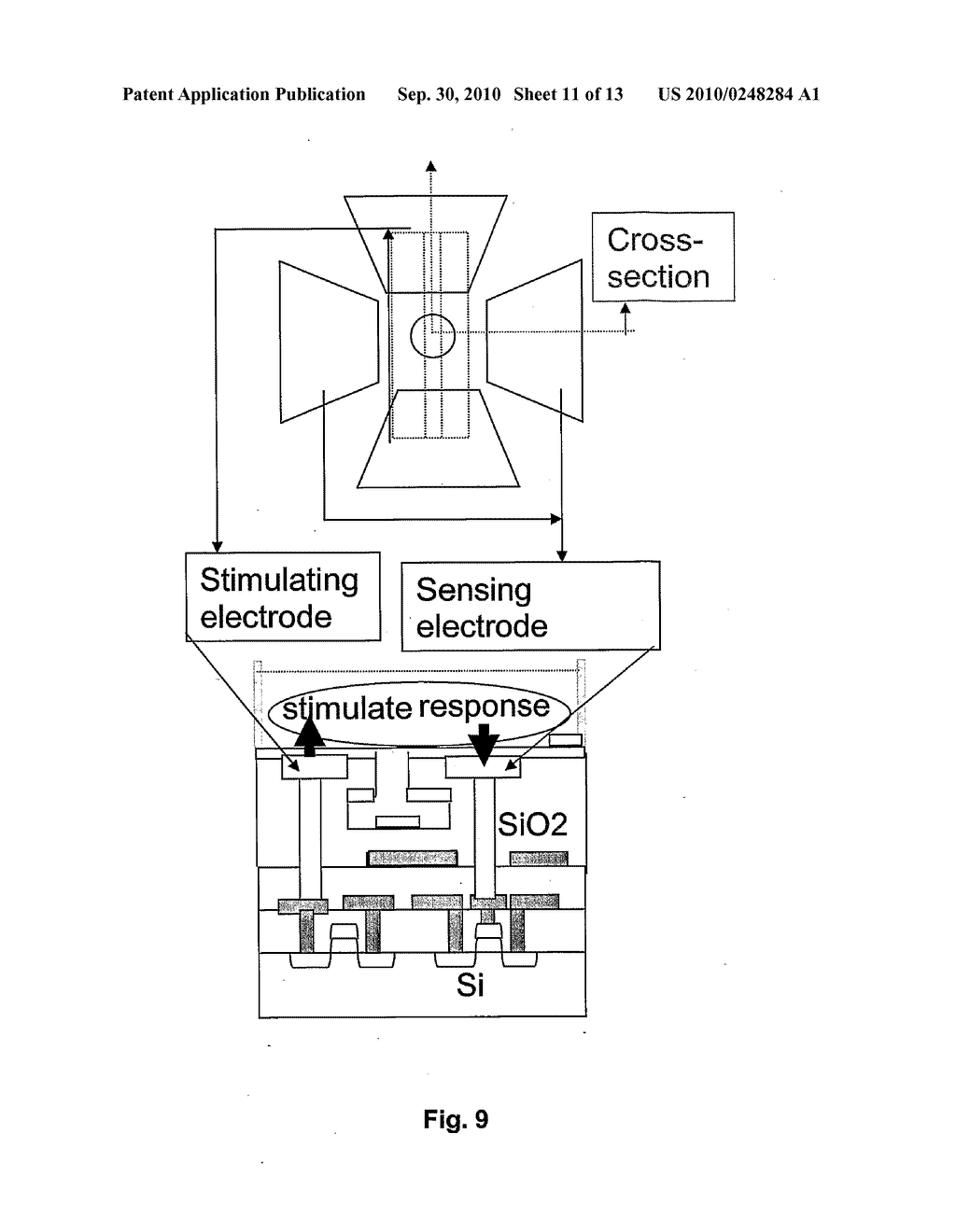 BIOSENSOR - diagram, schematic, and image 12