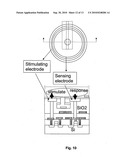 BIOSENSOR diagram and image