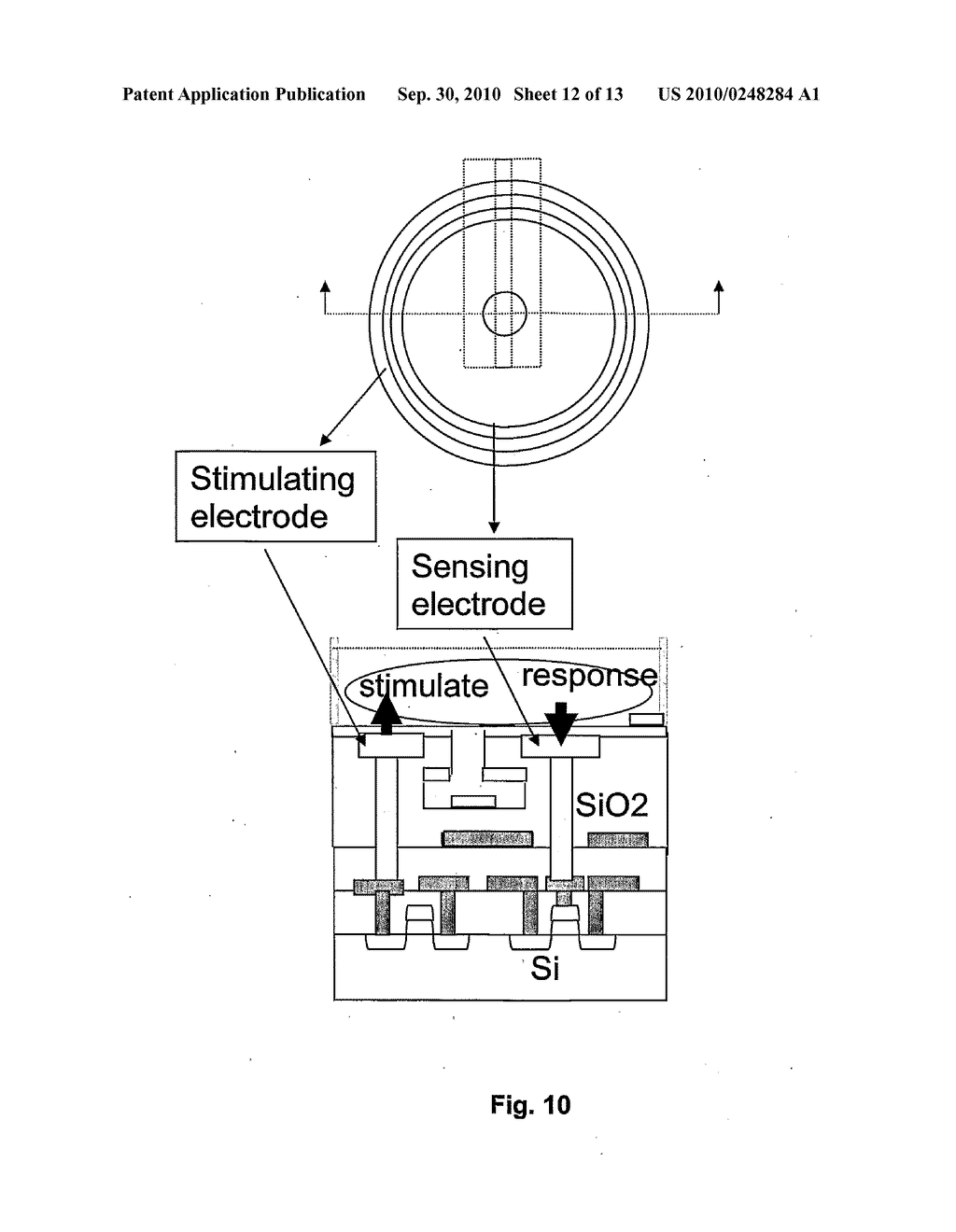 BIOSENSOR - diagram, schematic, and image 13