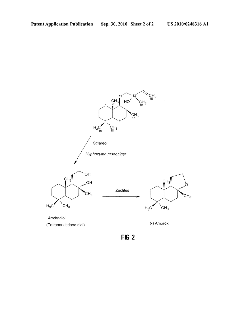 Process for the Production of Ambrafuran - diagram, schematic, and image 03