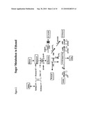 Ethanol Production diagram and image