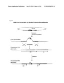 Ethanol Production diagram and image