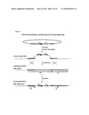 Ethanol Production diagram and image