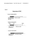 Ethanol Production diagram and image