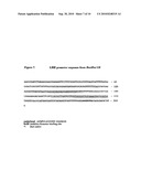 Ethanol Production diagram and image