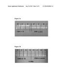 MATRICES AND MEDIA FOR STORAGE AND STABILIZATION OF BIOMOLECULES diagram and image