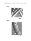 METHOD FOR INTRODUCING FOREIGN SUBSTANCE INTO CELL HAVING CELL WALL diagram and image