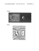 METHOD FOR INTRODUCING FOREIGN SUBSTANCE INTO CELL HAVING CELL WALL diagram and image