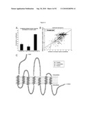 COMPOSITIONS AND METHODS FOR IDENTIFYING LIGANDS OF ODORANT RECEPTORS diagram and image