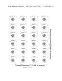 COMPOSITIONS AND METHODS FOR IDENTIFYING LIGANDS OF ODORANT RECEPTORS diagram and image