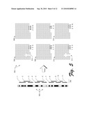 METHOD FOR DIAGNOSING A GENETIC ALTERATION ASSOCIATED WITH A CHROMOSOMAL LOCUS diagram and image