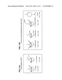 Screening Assay for Inhibitors of TRPA1 Activation by a Lower Alkyl Phenol diagram and image