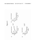 High Throughput Screening Assay for the TRPM5 Ion Channel diagram and image