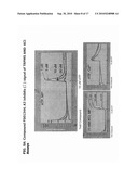 High Throughput Screening Assay for the TRPM5 Ion Channel diagram and image