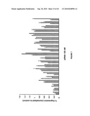 siRNA targeting ribonucleotide reductase M2 polypeptide (RRM2 or RNR-R2) diagram and image